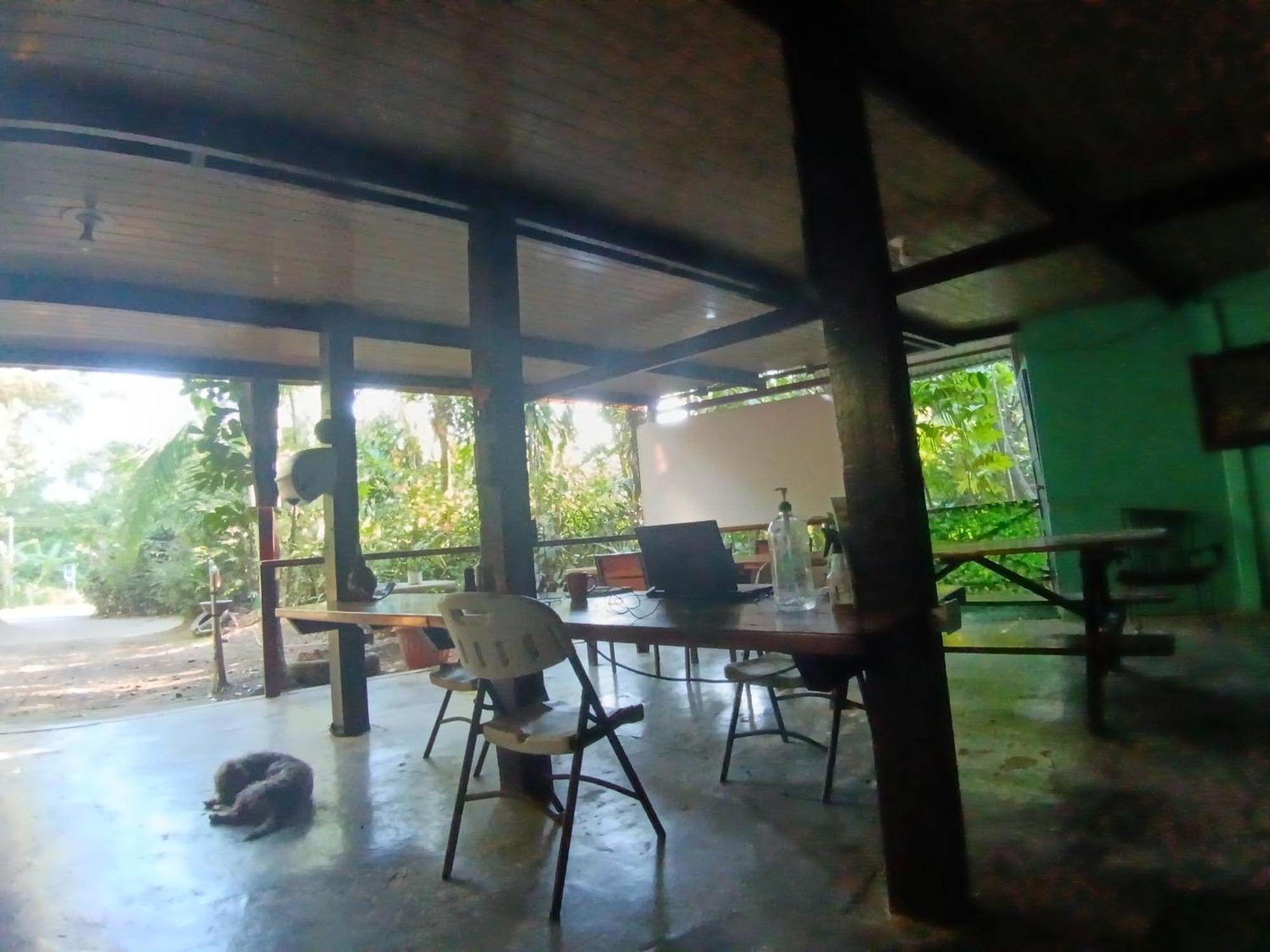 Nativos Corcovado Cabins Drake Bay Exterior foto